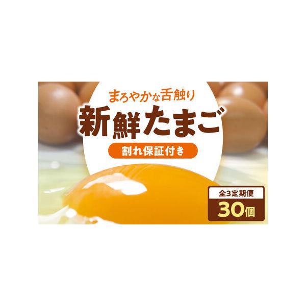 ふるさと納税 卵 定期便【3ケ月】（3パック）卵 平飼い[AGDQ005] 愛媛県大洲市