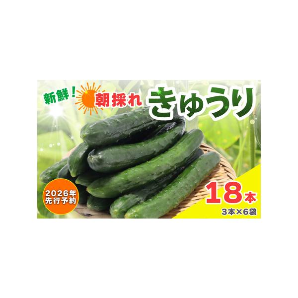 ■ 容量　18本（3本×6袋）■ 配送について　2026/05/21-2026/11/20　■天候によって発送開始時期が前後する場合がございます。　※沖縄、離島にはお届けできません。　※夏季(7-9月)は冷蔵、その他の時期は常温でお送りしま...