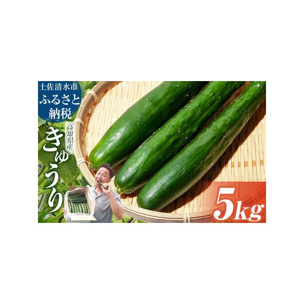 ■ 容量　【容量】　きゅうり 5kg　　【賞味期限】　出荷日より7日　保存方法：冷蔵（野菜室）保存■ 配送について　※ご寄附確認から1週間〜3週間で発送予定　※お受け取りが難しいお日にちがございましたら、備考等へお知らせください。　※1箱に...