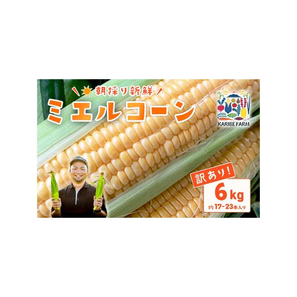 ■ 容量　【訳あり】とうもろこし（ミエルコーン）約6kg■ 配送について　2026年6月下旬頃〜7月中旬頃まで発送予定　※天候の影響で収穫時期が遅れる場合がございます。予めご了承ください。　※伊豆諸島（大島・八丈島を除く）及び小笠原村（小笠...