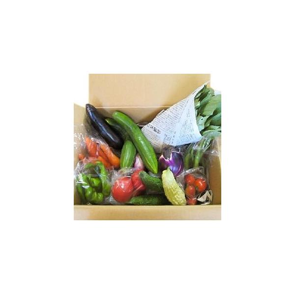 ■ 容量　※上記に記載■ 配送について　お申込み後、順次発送　タイプ：【冷蔵】