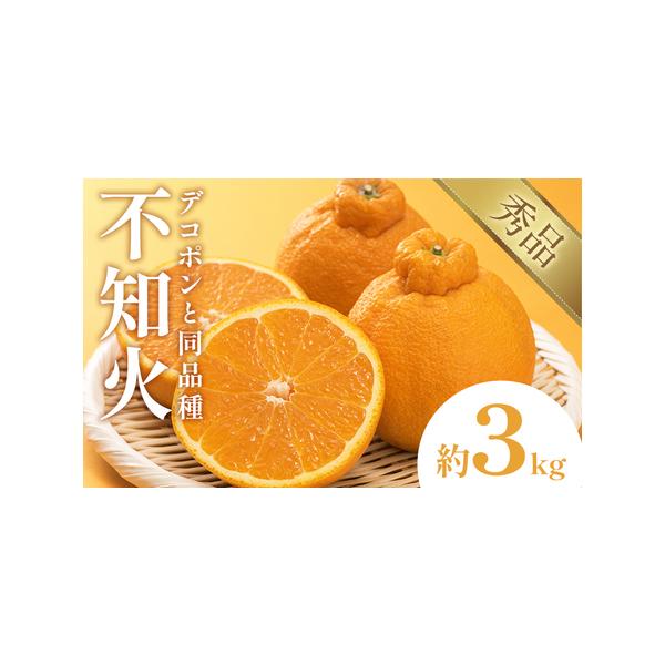 不知火 約3kg しらぬい 日本フルーツ株式会社 デコポン 熊本県長洲町