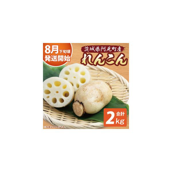 ■ 容量　れんこん2kg　■ 配送について　ご入金確認後、2週間程度で順次発送いたします。　（※年内最終発送：2025/12/26）　　タイプ：【冷蔵】