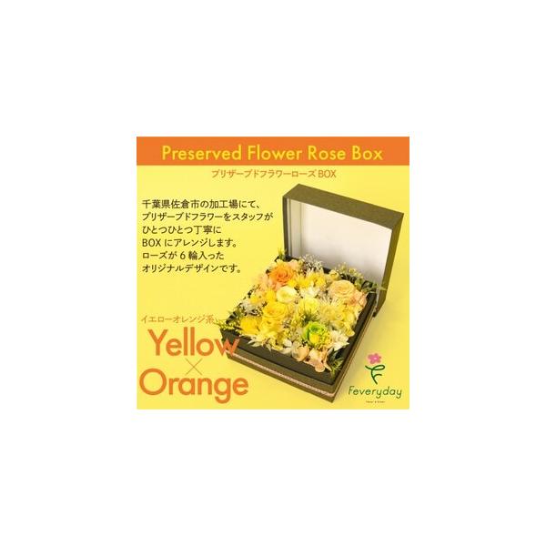 ■ 容量　※上記に記載■ 配送について　2026年1月より順次発送　タイプ：【常温】