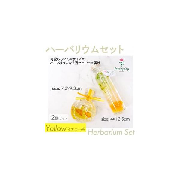 ■ 容量　※上記に記載■ 配送について　2026年1月より順次発送　タイプ：【常温】