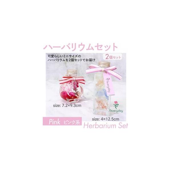 ■ 容量　※上記に記載■ 配送について　2026年1月より順次発送　タイプ：【常温】