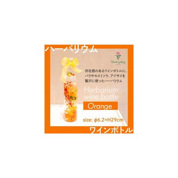 ■ 容量　※上記に記載■ 配送について　2026年1月より順次発送　タイプ：【常温】