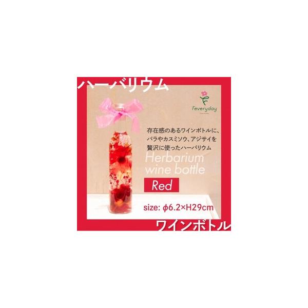 ■ 容量　※上記に記載■ 配送について　2026年1月より順次発送　タイプ：【常温】