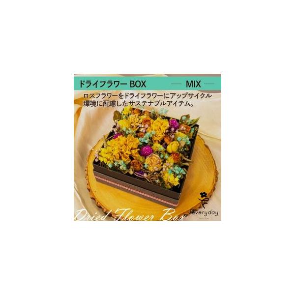 ■ 容量　※上記に記載■ 配送について　2026年1月より順次発送　タイプ：【常温】