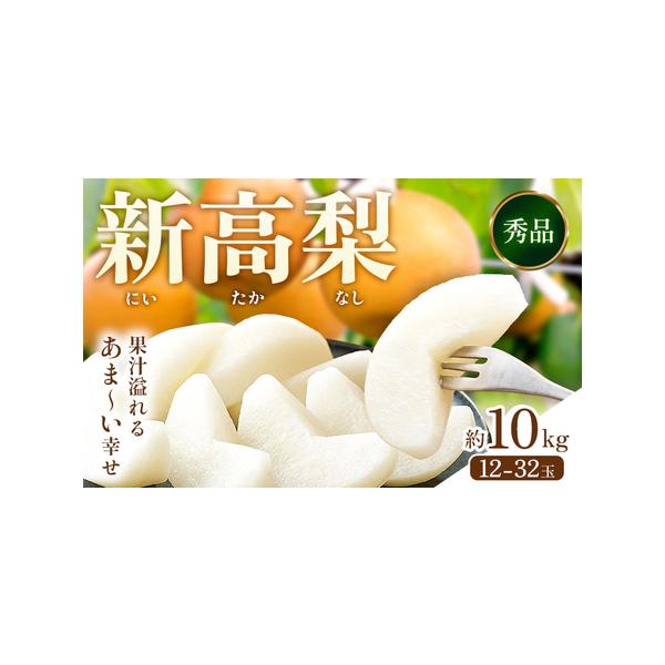 先行予約 新高梨 約10kg 日本フルーツ株式会社 梨 熊本県長洲町