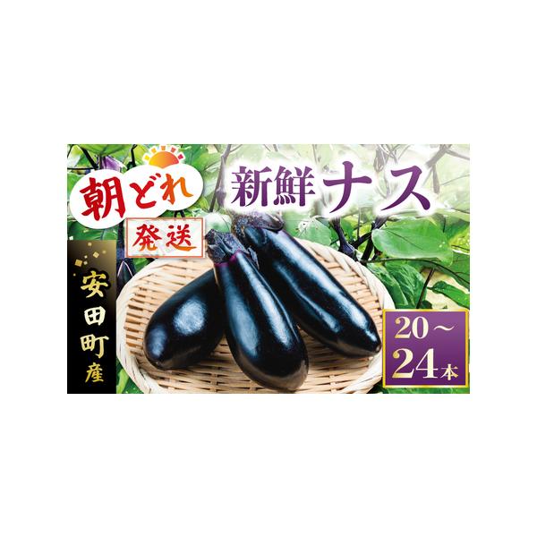 ■ 容量　2〜3本入りの袋で小分けにして、20〜24本程度お届けします。■ 配送について　※発送は、入金確認順に2025年10月下旬より順次お送りします。新鮮な茄子をお届けするため、ヘタの棘には十分お気を付けください。　※沖縄・離島への発送...