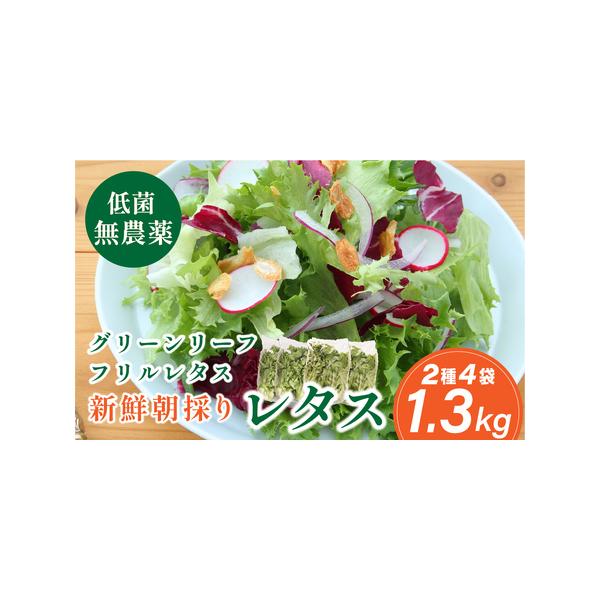 ■ 容量　・グリーンリーフレタス　300g入×2袋・フリルレタス　350g入×2袋【原材料】野菜■ 配送について　注文確認後、7日以内に発送　タイプ：【冷蔵】