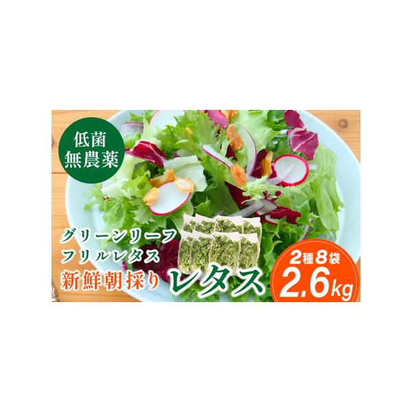 ■ 容量　・グリーンリーフレタス　300g入×4袋・フリルレタス　350g入×4袋【原材料】野菜■ 配送について　注文確認後、7日以内に発送　タイプ：【冷蔵】
