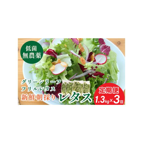 ■ 容量　下記を３回■１回分・グリーンリーフレタス　300g入×2袋・フリルレタス　350g入×2袋【原材料】野菜■ 配送について　ご寄付いただいた月の翌月から、毎月1日から10日の間に発送いたします。　タイプ：【冷蔵】【定期】