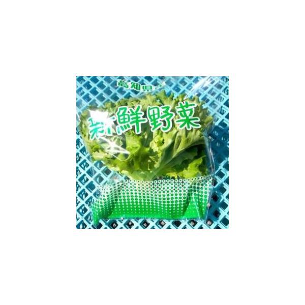 ■ 容量　※上記に記載■ 配送について　2026年1月より順次発送　タイプ：【冷蔵】