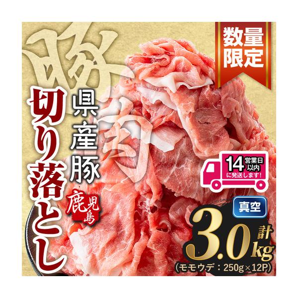 ふるさと納税 豚肉 切り落とし 鹿児島県産  (計3.0kg) 【豚肉 切り落とし】 【Rana】A1016-v02 鹿児島県曽於市