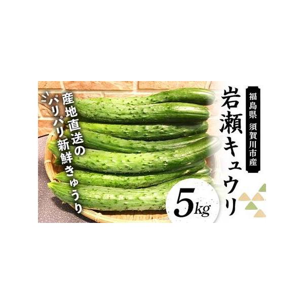 ■ 容量　■お礼品の内容について　・きゅうり[5kg]　　　原産地:福島県須賀川市　■ 配送について　通年　　タイプ：【冷蔵】