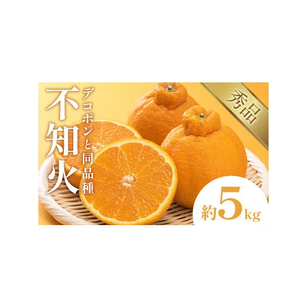不知火 デコポン 同品種 約5kg 日本フルーツ株式会社 熊本県 荒尾市 《2月上旬-4月上旬頃出荷》 デコポン 果物 秀品 フルーツ スイ.. 熊本県荒尾市