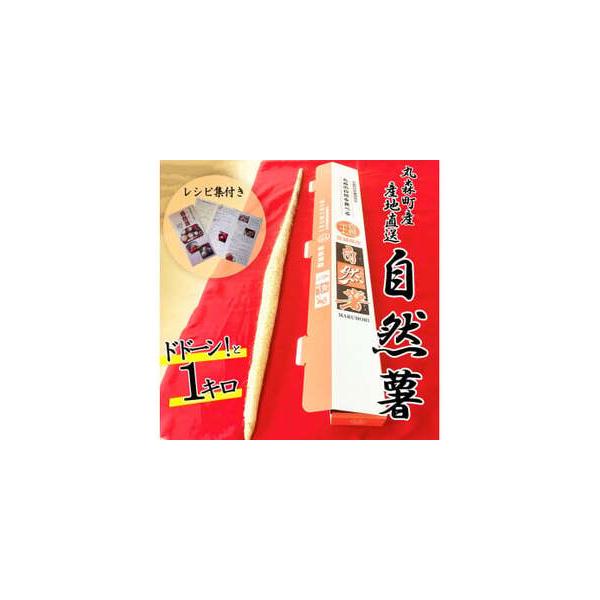 ■ 容量　自然薯 1kg　※自然薯は複数本入りになることもございますのでご了承ください。■ 配送について　12月〜翌年2月に発送いたします。　タイプ：【常温】