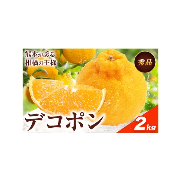 デコポン 約2kg 日本フルーツ株式会社 熊本県 荒尾市 《12月中旬-4月上旬頃出荷》 デコポン 果物 秀品 フルーツ スイーツ デザート.. 熊本県荒尾市