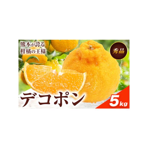 デコポン 約5kg 日本フルーツ株式会社 熊本県 荒尾市 《12月中旬-4月上旬頃出荷》 デコポン 果物 秀品 フルーツ スイーツ デザート.. 熊本県荒尾市