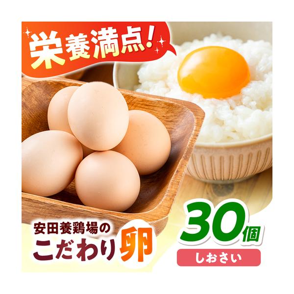 ふるさと納税 安田養鶏場の卵 しおさい 30個入り[AKHN001]卵 神奈川県横須賀市