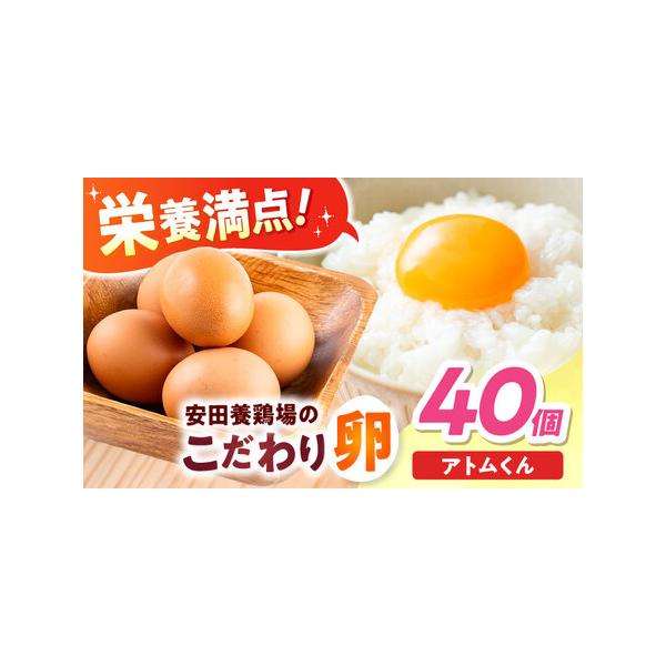 ふるさと納税 安田養鶏場の卵 アトムくん 40個入り [AKHN003] 産地直送卵  神奈川県横須賀市