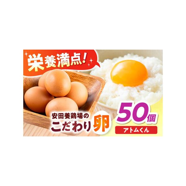 ふるさと納税 安田養鶏場の卵 アトムくん 50個入り 横須賀市 産地直送 割れ保証付き たまご 黄身 濃厚 卵 玉子 タマゴ 鶏卵 【安田養鶏場】[.. 神奈川県横須賀市
