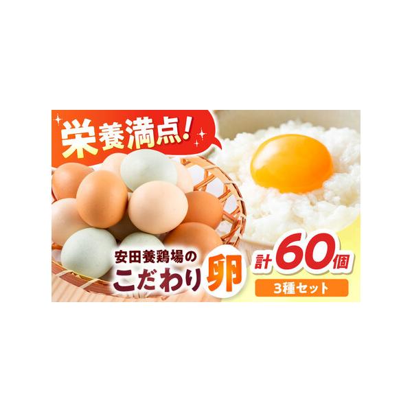 ふるさと納税 安田養鶏場の卵 3種セット しおさい アトムくん タフラン 60個入り（各20個入り） 横須賀市 産地直送 割れ保証付き たまご 黄.. 神奈川県横須賀市
