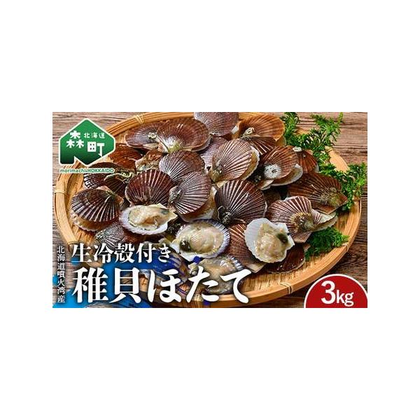 【ふるさと納税】 冷凍殻付き稚貝ほたて 3kg 北海道噴火湾産（段ボールまたは発泡入り） 海産物 加工品 ほたて 帆立 ホタテ 魚介類 海鮮 森町 ふるさと納税 mr1-0984