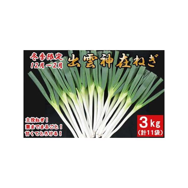 ■ 容量　・神在ねぎ（2〜3本入り）8袋　　　1袋当たり330ｇ見当　　・神在ねぎ（1本入り）3袋　　　1本200gを超える太物を厳選しています。　計11袋　約3kg　※袋に入っているので、お友達にシェアしたり、贈り物にも最適です。　【賞味...