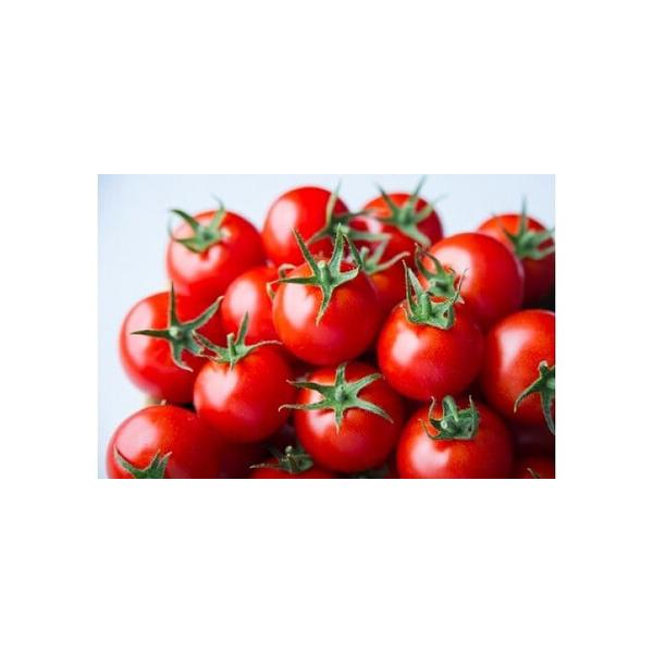 ■ 容量　超トマト　1kg×1箱　※賞味期限：出荷日から7日　【賞味期限】　賞味期限 出荷日から7日■ 配送について　【期間限定】12月下旬から5月下旬の間にお届けします。お申込みからお届けまでに数か月お待ちいただく場合がございます。（例：...