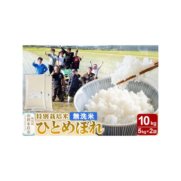 商品名 R6年秋田県産ひとめぼれ梱包 込み10キロ。減農薬米 R6年秋田県産ひとめぼれ梱包込み10キロ。減農薬米 【公式通販】