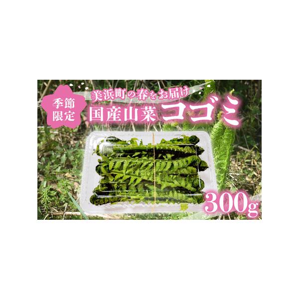■ 容量　■ 内容量等　コゴミ 300g (100g×3パック)　産地：福井県　■ 原材料　コゴミ　■ 本品に含まれるアレルギー表示28品目　なし　■ 賞味期限等　消費期限：発送日より3日以内（冷蔵保存時）　■ 備考　※消費期限が短い為、お...