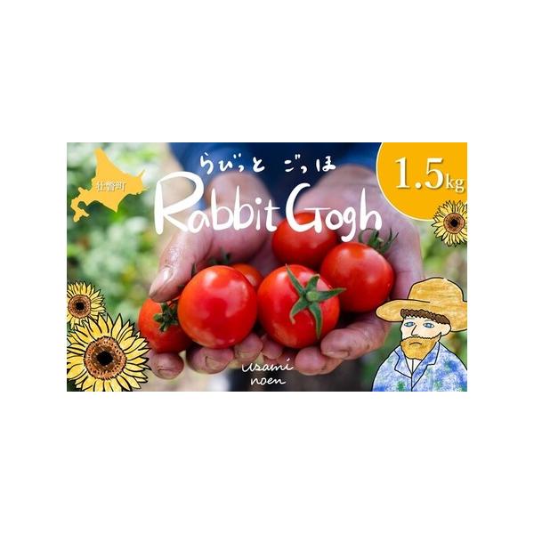 ■ 容量　ラビットゴッホ　1.5kg(総重量・箱込)■ 配送について　2026年7月以降順次発送　タイプ：【冷蔵】