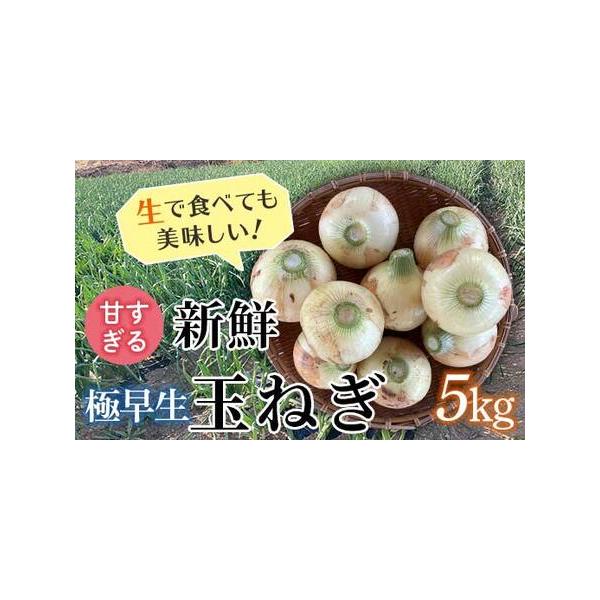 ■ 容量　玉ねぎ「極早生」5kg　■ 配送について　2026年4月20日〜5月10日頃　　タイプ：【常温】
