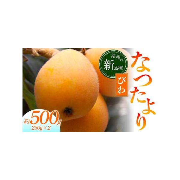 ■ 容量　なつたより びわ 約500g (250g×2)■ 配送について　2026年5月中旬〜6月中旬　順次発送予定　タイプ：【冷蔵】