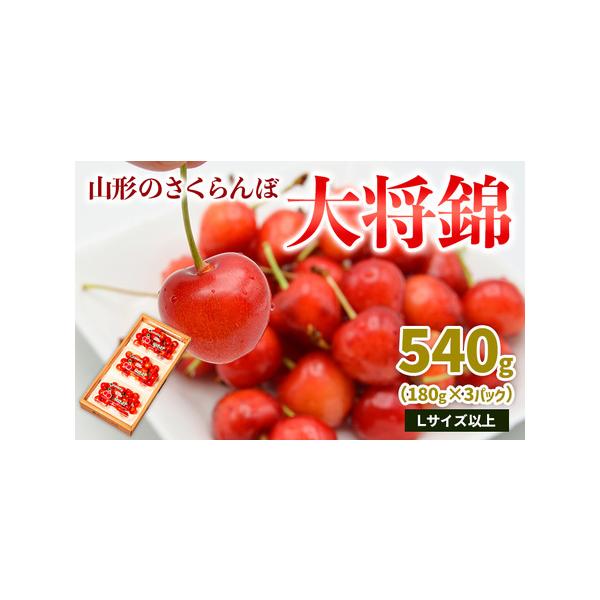 ■ 容量　【令和8年産】　さくらんぼ大将錦 Lサイズ以上 540g(180g×3パック)■ 配送について　【申込期日】2026年06月25日まで　【発送期間】2026年06月15日頃〜2026年07月15日頃　※状況により配送時期が前後する...
