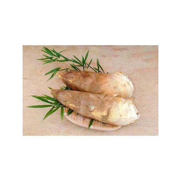 ■ 容量　原産地　京都市西京区大枝地区　　　　　　　　　　　　　　　　　　　内容量　4kg (1箱）秀品　　　【賞味期限】　生鮮品ですので、到着後は速やかな開封、確認をお願いします。 開封後は、即時にゆがくとともに、しばらく水に浸し、調理し...