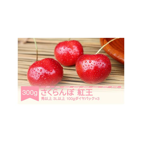 ■ 容量　やまがた紅王 秀品以上 3L玉以上 100g×3パック■ 配送について　6月中旬~6月下旬　※生育の状況により多少前後することがあります。　タイプ：【冷蔵】