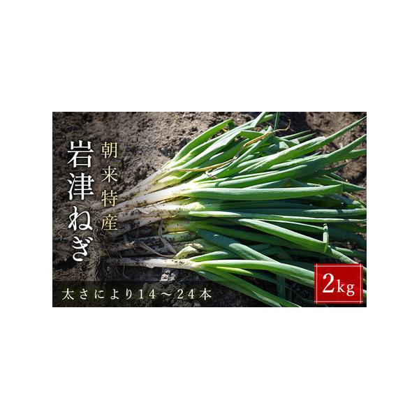 ■ 容量　岩津ねぎ 2kg （太さにより14〜24本）■ 配送について　入金確認後、令和7年12月上旬から2月上旬にかけて順次発送　※恐れ入りますが、発送期日のお問い合わせには対応いたしかねます。　※配送日の指定、北海道・沖縄・離島へのお届...