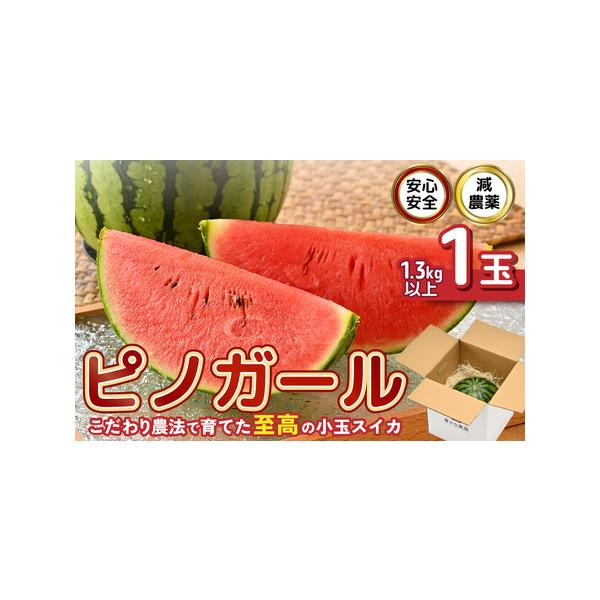 ■ 容量　■ 内容量等　ピノガール (小玉スイカ) 1玉 (1.3kg以上)　　■ 原材料　小玉スイカ (坂井市産)　　■ 本品に含まれるアレルギー表示28品目　なし　　■ 賞味期限　発送日より10日以内 (常温保存時)　※商品到着後すぐに...