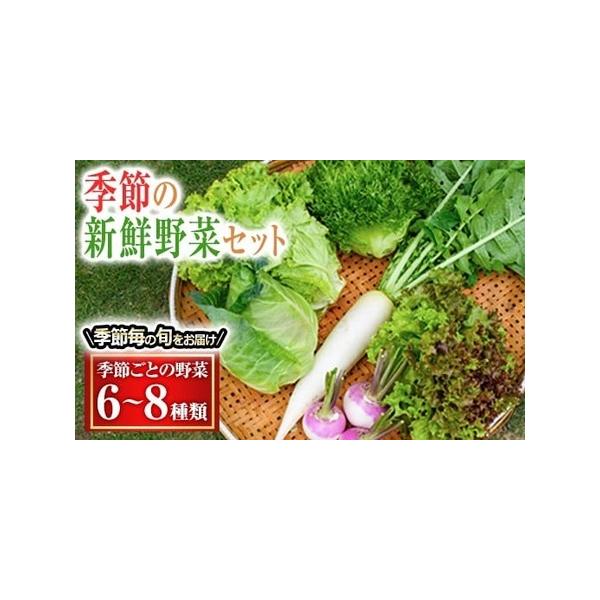 ■ 容量　1年を通しての季節毎の旬野菜　（6種類から8種類、若しくはキャベツやレタスなどの詰め合わせ）　※季節に応じてお届けする野菜が異なります。詳しくは画像をご覧ください。■ 配送について　ご入金確認から2ヶ月までに順次発送　（長期不在の...