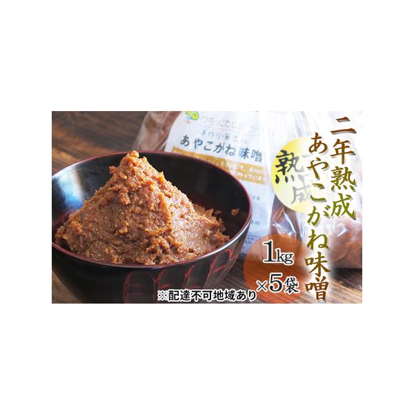 ふるさと納税 つちっこ田島ファーム 二年熟成 あやこがね味噌 1kg入り×5袋（合計5kg） みそ  福島県南会津町