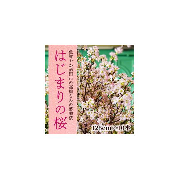 ■ 容量　啓翁桜 10本　メンテナンスカード　サイズ：高さ約125cm×幅約25cm　※お花のサイズによって変わります。　　　　　　　　　※着日指定・離島への発送不可　※画像はイメージです。植物ですので、サイズや色合いが画像と異なる場合があ...