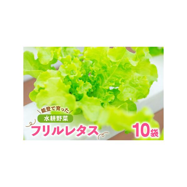 ■ 容量　■内容量　フリルレタス10袋　　■消費期限　発送から7日　※要冷蔵。受け取り後なるべく早くお召し上がりください　　■配送不可エリア　クール便配送不可の一部離島や地域■ 配送について　決済確認から1〜2か月程度　※年末年始など申込が...
