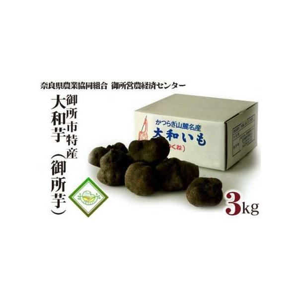 ■ 容量　【令和7年度産】3kg／1箱　　到着後は涼しいところに保管し、できるだけお早めにお召し上がりください。■ 配送について　【発送について】　発送期間：2025年12月1日〜2026年2月28日　　返礼品は個別発送となっております。　...