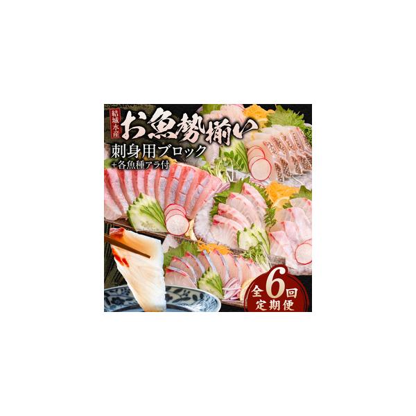 ふるさと納税 【6ヶ月定期便】(冷蔵)結城水産のお魚勢ぞろい！お刺身用ブロック N015-YF092 宮崎県延岡市