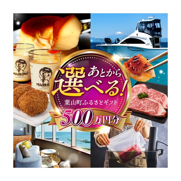 furunavi_1677635