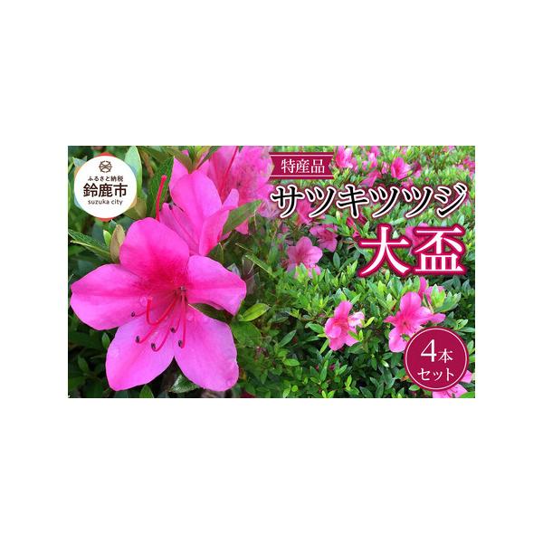 ■ 容量　■お礼品の内容について　・三重サツキ(大盃)[4本]　原産地:三重県鈴鹿市/製造地:三重県鈴鹿市/加工地:三重県鈴鹿市　■注意事項/その他　通年の生産品目で、季節により木の大きさや葉の色合いには相違があります。画像は参考のイメージ...